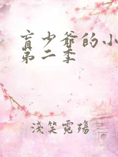 盲少爷的小女仆第二季