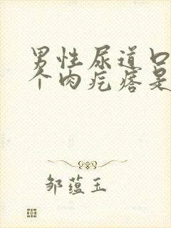 男性尿道口长了个肉疙瘩是怎么回事