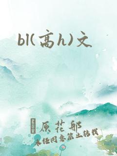 bl(高h)文