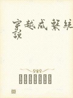 穿越成系统的小说