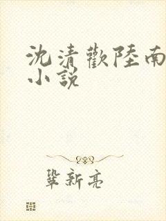 沈清欢陆南笙的小说