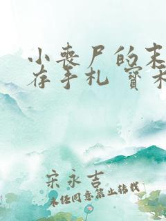 小丧尸的末世生存手札 宝禾先生