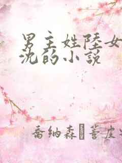 男主姓陆女主姓沈的小说