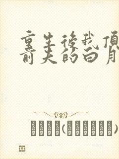 重生后我顶替了前夫的白月光短剧