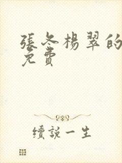 张冬杨翠的小说免费