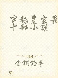 穿越农家最经典十部小说