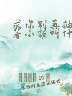 求你别再抽了原著小说叫什么