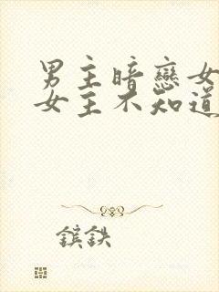 男主暗恋女主,女主不知道的小说