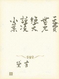 小说绝世天骄·叶凌天免费全文阅读