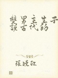 双男主生子文小说古代的