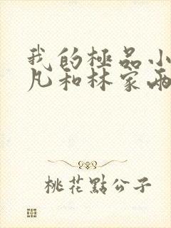 我的极品小姨叶凡和林家两姐妹