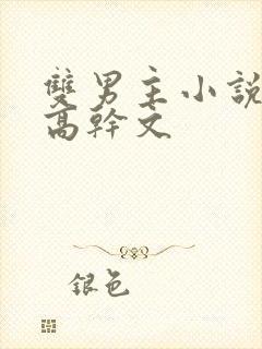 双男主小说推荐高干文