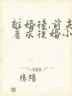 离婚后,前夫哭着求复婚小说全集完整版