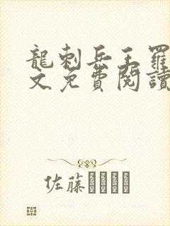 龙刺兵王罗昊全文免费阅读