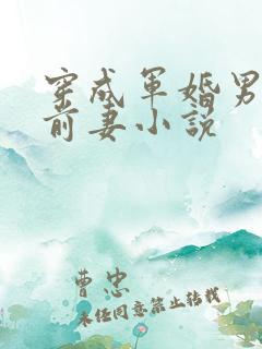 穿成军婚男主的前妻小说