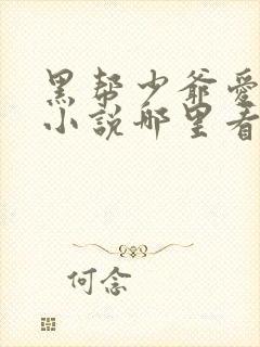 黑帮少爷爱上我小说哪里看