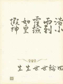 假如霍雨浩被魔神皇捡到小说