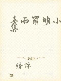 秦雨罗明小说全集