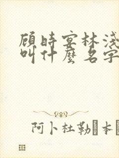 顾时宴林浅小说叫什么名字