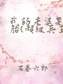 我的老婆是双胞胎(超级兵王在都市)