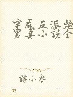 穿成反派炮灰的男妻小说全文阅读