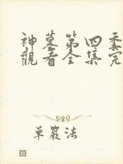 神墓第四季免费观看全集完整版高清