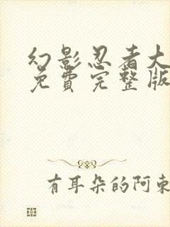 幻影忍者大电影免费完整版中文版