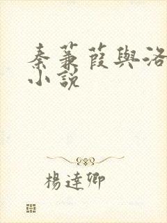 秦蒹葭与洛青舟小说