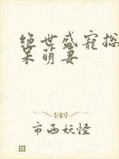 绝世盛宠总裁的呆萌妻