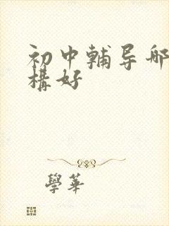 初中辅导哪里机构好