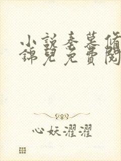 小说秦慕修和赵锦儿免费阅读