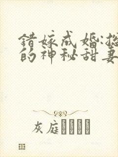 错嫁成婚:总裁的神秘甜妻