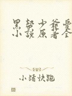 黑帮少爷爱上我小说原著全文