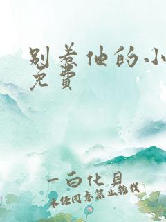 别惹他的小可怜免费