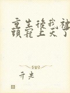 重生后我被死对头宠上天了把