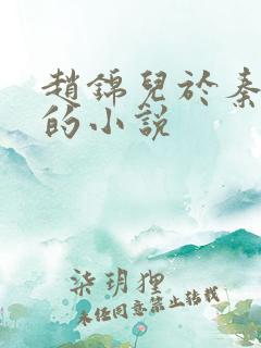 赵锦儿于秦慕修的小说