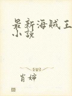 最新海贼王同人小说