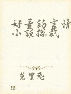 好看的言情甜宠小说总裁