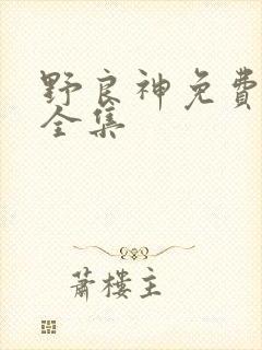 野良神免费观看全集