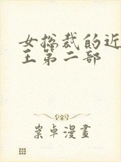 女总裁的近身兵王第二部