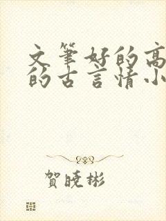 文笔好的高质量的古言情小说推荐