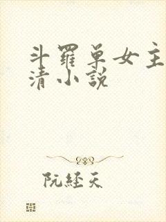 斗罗单女主朱竹清小说