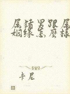 属猪男跟属兔女姻缘怎么样