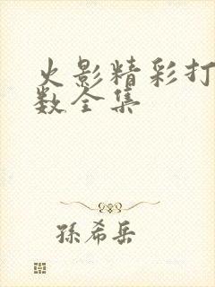 火影精彩打斗集数全集