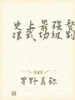 史上最强赘婿沈浪武功级别