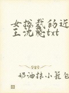 女总裁的近身兵王沈飞txt