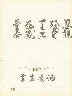 爱死了残忍的你泰剧免费观看全集