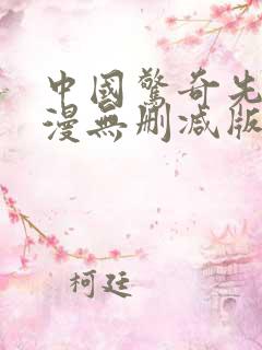 中国惊奇先生动漫无删减版