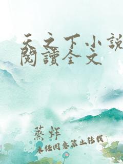 天之下小说在线阅读全文
