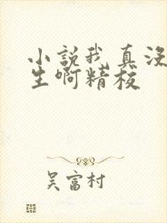 小说我真没想重生啊精校